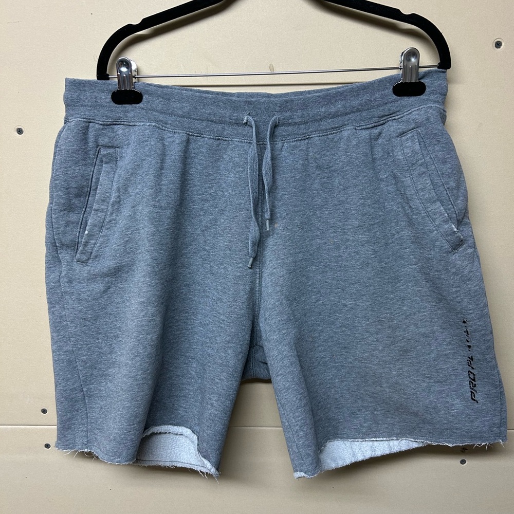 2/$20❤️- SHORTS | Men’s Pro Player shorts size XL